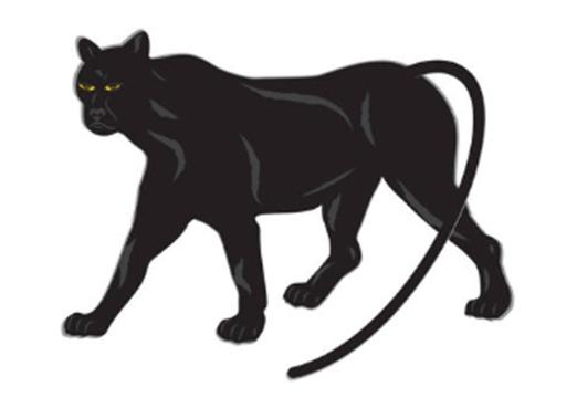 战神设计开始测试黑豹 现代版的德•托马索•潘特拉
