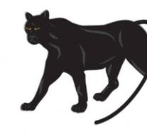 战神设计开始测试黑豹 现代版的德·托马索·潘特拉