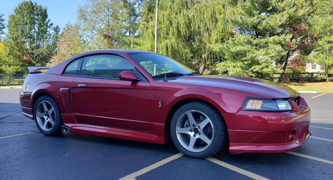 经过Roush调校的2003年福特Mustang SVT眼镜蛇的诱惑吗？