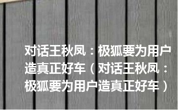 对话王秋凤：极狐要为用户造真正好车（对话王秋凤：极狐要为用户造真正好车）