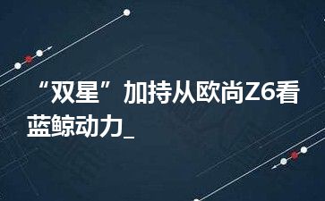 “双星”加持从欧尚Z6看蓝鲸动力_