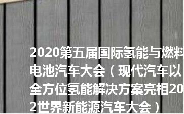 2020第五届国际氢能与燃料电池汽车大会（现代汽车以全方位氢能解决方案亮相2022世界新能源汽车大会）