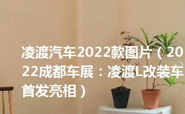 凌渡汽车2022款图片（2022成都车展：凌渡L改装车首发亮相）