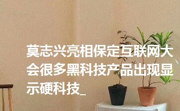 莫志兴亮相保定互联网大会很多黑科技产品出现显示硬科技_