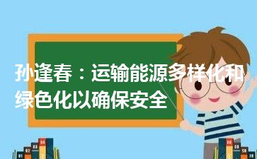 孙逢春：运输能源多样化和绿色化以确保安全