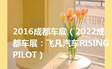 2016成都车展（2022成都车展：飞凡汽车RISING PILOT）