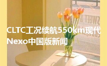 CLTC工况续航550km现代Nexo中国版新闻