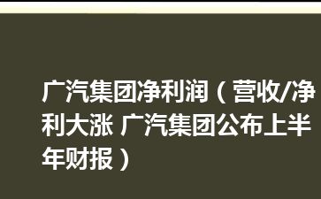 广汽集团净利润（营收/净利大涨 广汽集团公布上半年财报）