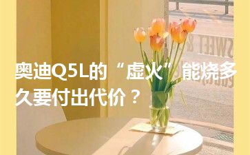 奥迪Q5L的“虚火”能烧多久要付出代价？