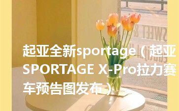 起亚全新sportage（起亚SPORTAGE X-Pro拉力赛车预告图发布）