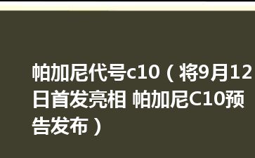 帕加尼代号c10（将9月12日首发亮相 帕加尼C10预告发布）