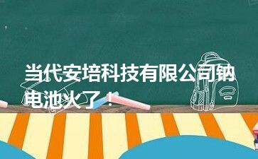 当代安培科技有限公司钠电池火了！