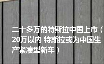 二十多万的特斯拉中国上市（20万以内 特斯拉或为中国生产紧凑型新车）