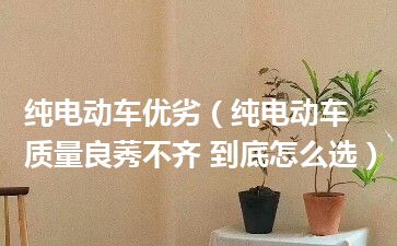 纯电动车优劣（纯电动车质量良莠不齐 到底怎么选）