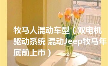 牧马人混动车型（双电机驱动系统 混动Jeep牧马年底前上市）