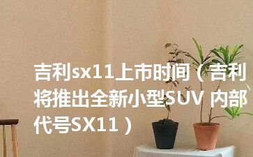 吉利sx11上市时间（吉利将推出全新小型SUV 内部代号SX11）