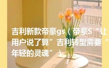 吉利新款帝豪gs（帝豪S“让用户说了算”吉利转型需要“年轻的灵魂”）