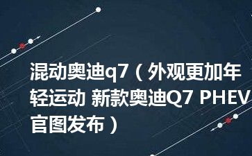 混动奥迪q7（外观更加年轻运动 新款奥迪Q7 PHEV官图发布）