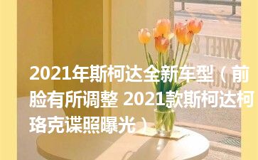 2021年斯柯达全新车型（前脸有所调整 2021款斯柯达柯珞克谍照曝光）