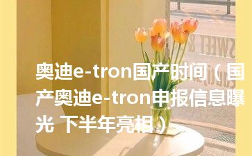 奥迪e-tron国产时间（国产奥迪e-tron申报信息曝光 下半年亮相）