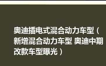 奥迪插电式混合动力车型（新增混合动力车型 奥迪中期改款车型曝光）