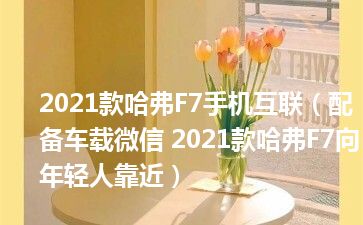 2021款哈弗F7手机互联（配备车载微信 2021款哈弗F7向年轻人靠近）