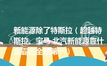 新能源除了特斯拉（超越特斯拉、宝马 北汽新能源靠什么霸占全球第一）