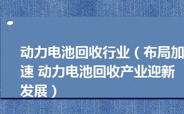 动力电池回收行业（布局加速 动力电池回收产业迎新发展）