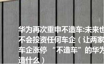 华为再次重申不造车:未来也不会投资任何车企（让两家车企涨停 “不造车”的华为造什么）