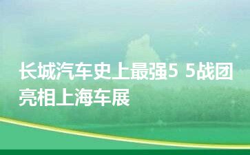 长城汽车史上最强5 5战团亮相上海车展