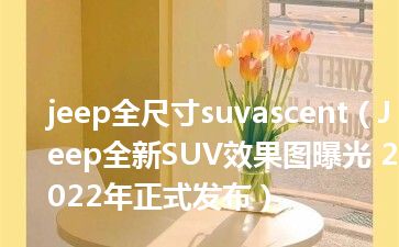 jeep全尺寸suvascent（Jeep全新SUV效果图曝光 2022年正式发布）