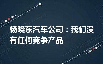 杨晓东汽车公司：我们没有任何竞争产品