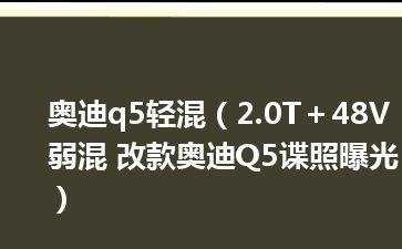 奥迪q5轻混（2.0T＋48V弱混 改款奥迪Q5谍照曝光）