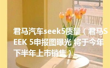 君马汽车seek5质量（君马SEEK 5申报图曝光 将于今年下半年上市销售）