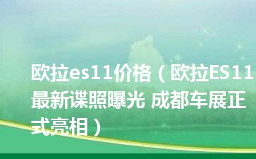 欧拉es11价格（欧拉ES11最新谍照曝光 成都车展正式亮相）