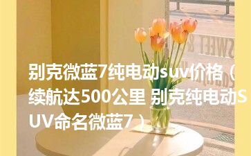 别克微蓝7纯电动suv价格（续航达500公里 别克纯电动SUV命名微蓝7）