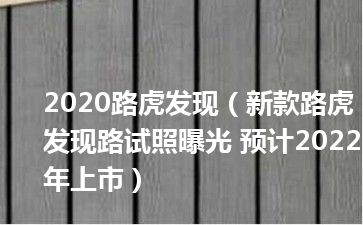 2020路虎发现（新款路虎发现路试照曝光 预计2022年上市）