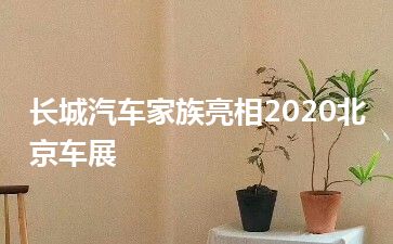 长城汽车家族亮相2020北京车展