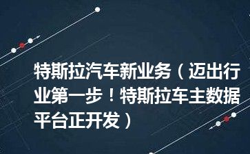 特斯拉汽车新业务（迈出行业第一步！特斯拉车主数据平台正开发）