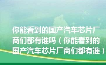 你能看到的国产汽车芯片厂商们都有谁吗（你能看到的国产汽车芯片厂商们都有谁）