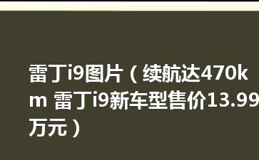 雷丁i9图片（续航达470km 雷丁i9新车型售价13.99万元）