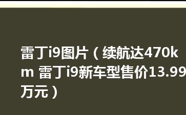 雷丁i9图片（续航达470km 雷丁i9新车型售价13.99万元）