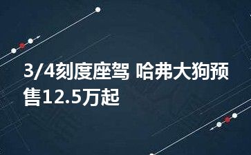 3/4刻度座驾 哈弗大狗预售12.5万起