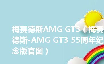 梅赛德斯AMG GT3（梅赛德斯-AMG GT3 55周年纪念版官图）