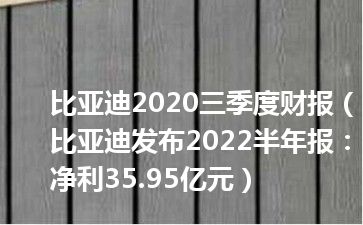比亚迪2020三季度财报（比亚迪发布2022半年报：净利35.95亿元）