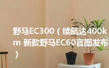 野马EC300（续航达400km 新款野马EC60官图发布）